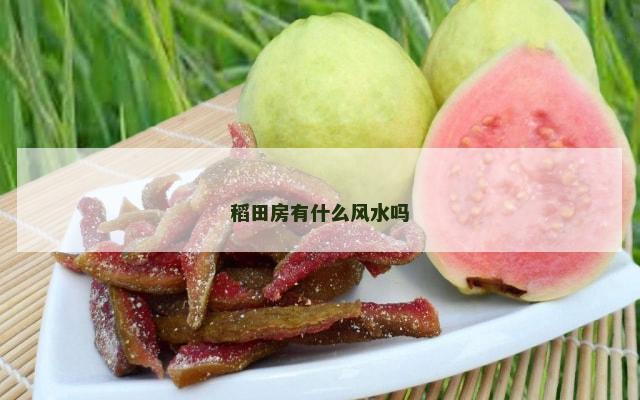稻田房有什么风水吗