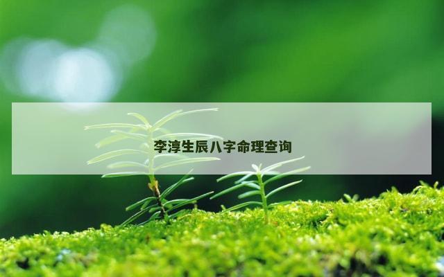 李淳生辰八字命理查询