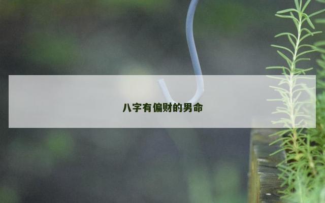 八字有偏财的男命