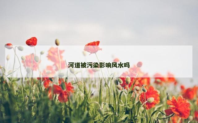 河道被污染影响风水吗