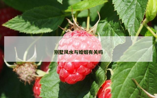 别墅风水与婚姻有关吗