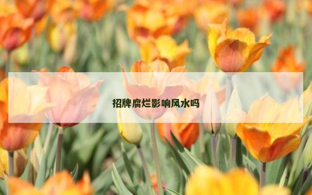 招牌腐烂影响风水吗