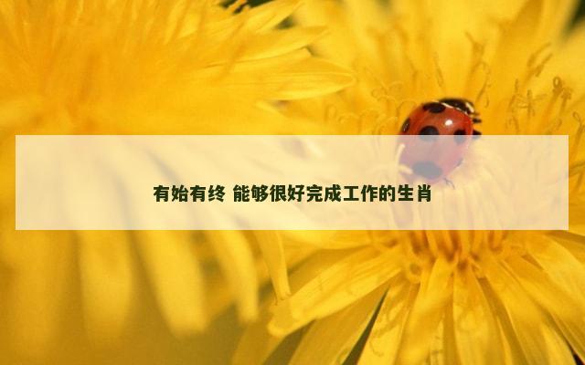 有始有终 能够很好完成工作的生肖