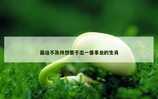 最迫不及待想要干出一番事业的生肖
