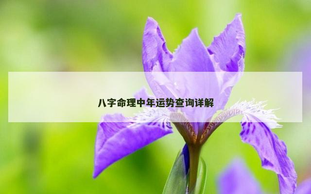 八字命理中年运势查询详解
