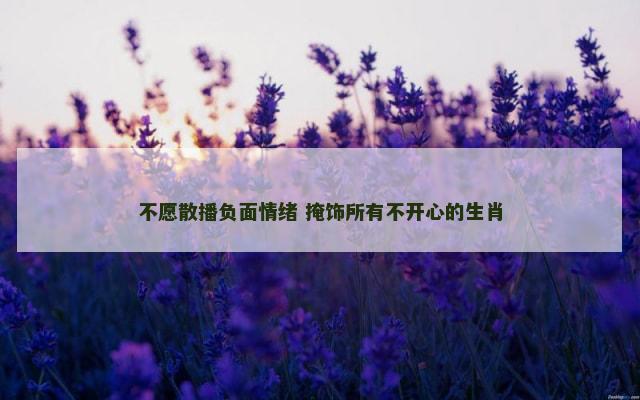 不愿散播负面情绪 掩饰所有不开心的生肖