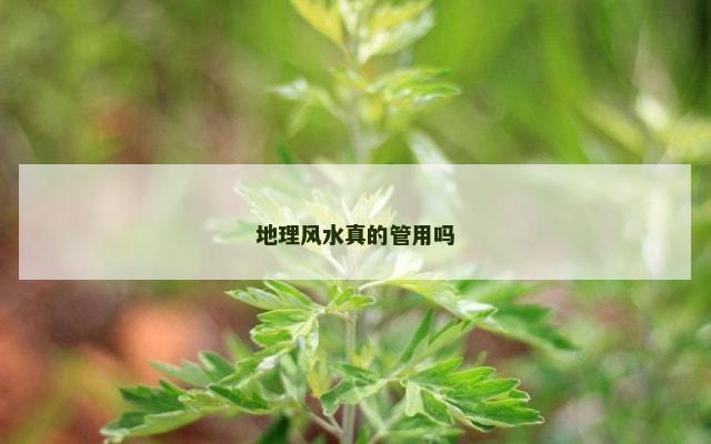 地理风水真的管用吗