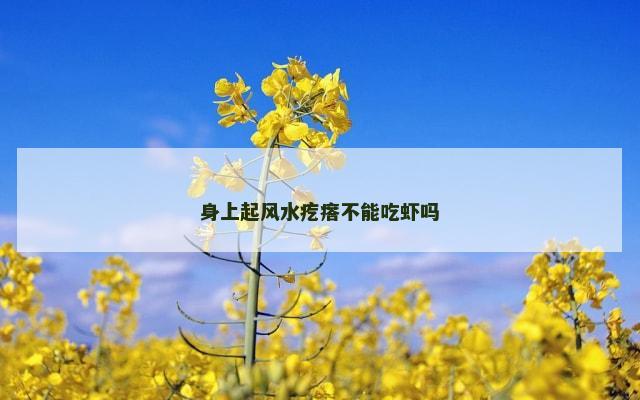 身上起风水疙瘩不能吃虾吗
