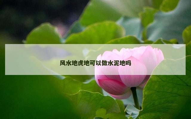 风水地虎地可以做水泥地吗