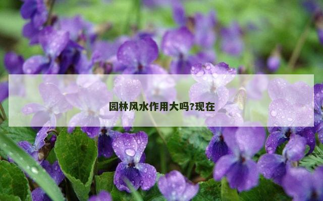 园林风水作用大吗?现在