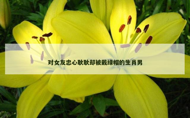 对女友忠心耿耿却被戴绿帽的生肖男