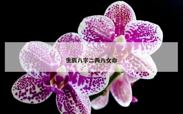 生辰八字二两八女命
