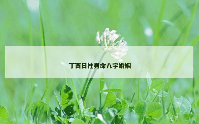 丁酉日柱男命八字婚姻