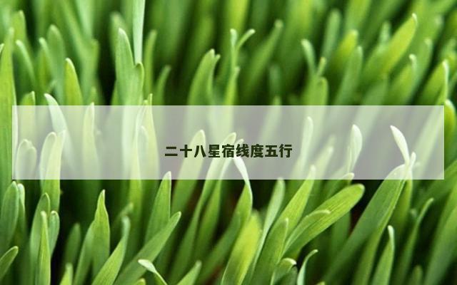 二十八星宿线度五行
