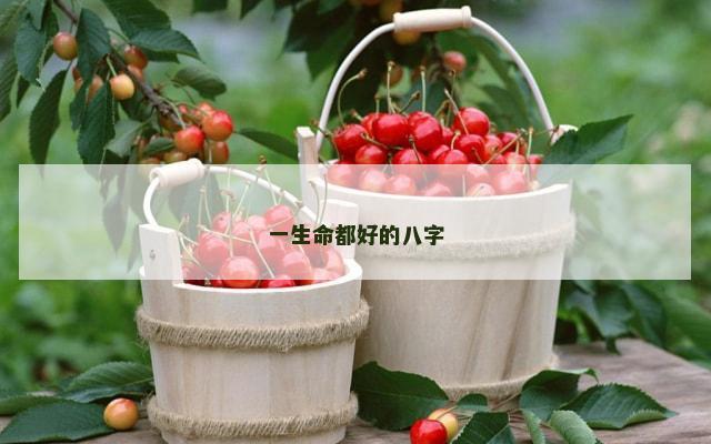 一生命都好的八字