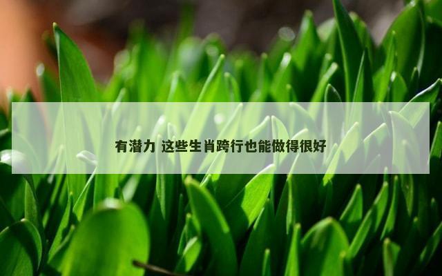 有潜力 这些生肖跨行也能做得很好