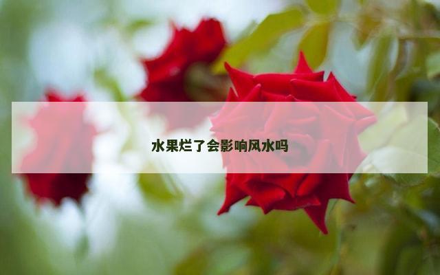 水果烂了会影响风水吗