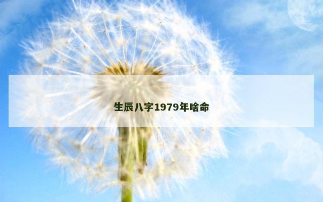 生辰八字1979年啥命