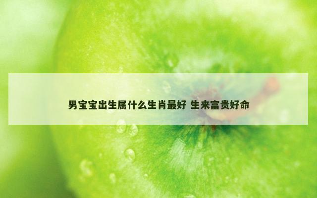 男宝宝出生属什么生肖最好 生来富贵好命