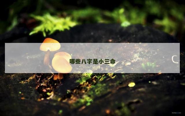 哪些八字是小三命