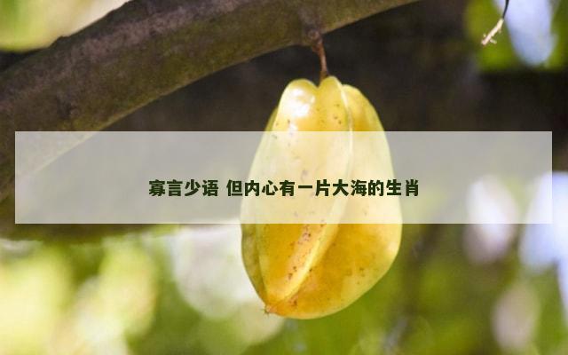 寡言少语 但内心有一片大海的生肖