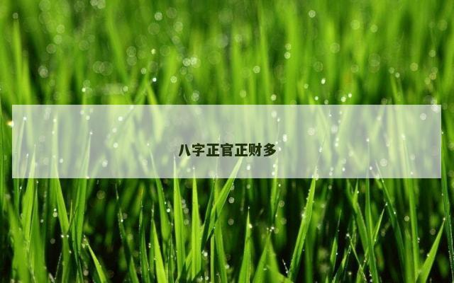 八字正官正财多