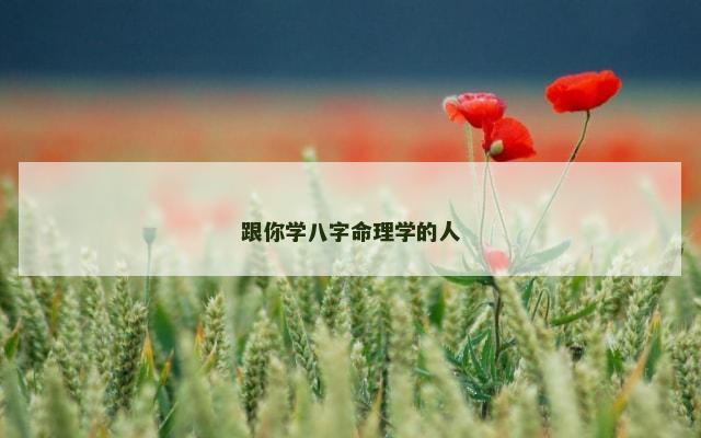跟你学八字命理学的人