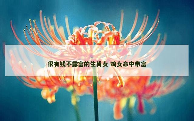 很有钱不露富的生肖女 鸡女命中带富