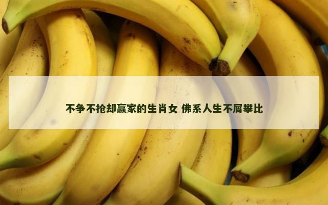 不争不抢却赢家的生肖女 佛系人生不屑攀比