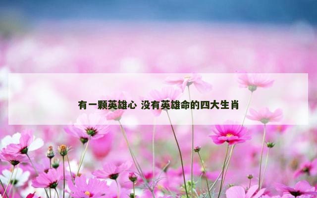 有一颗英雄心 没有英雄命的四大生肖
