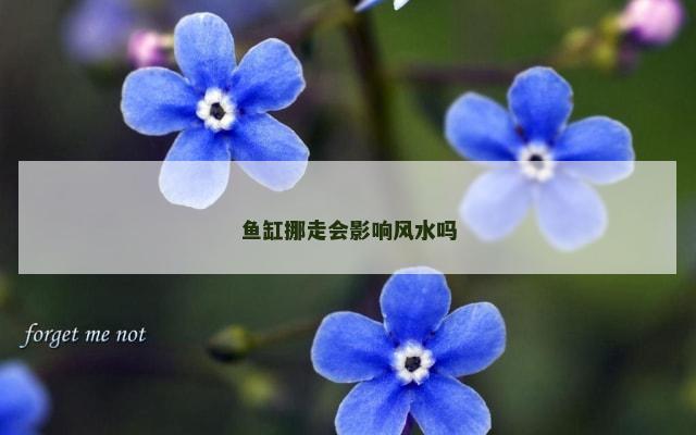 鱼缸挪走会影响风水吗