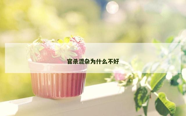 官杀混杂为什么不好