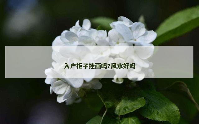 入户柜子挂画吗?风水好吗