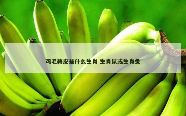 鸡毛蒜皮是什么生肖 生肖鼠或生肖兔