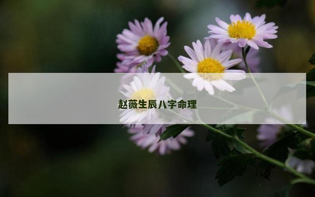 赵薇生辰八字命理