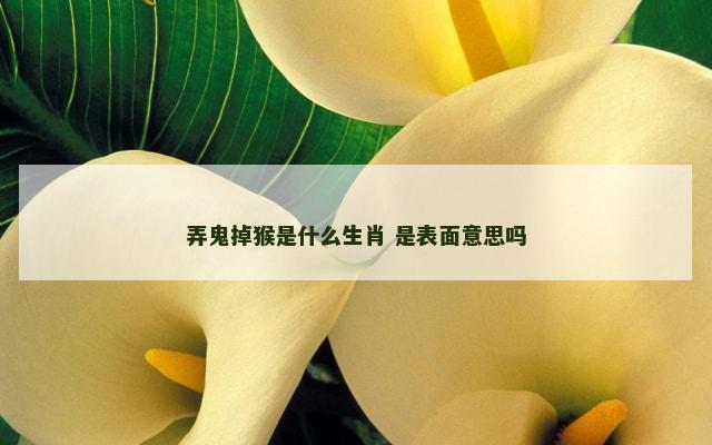 弄鬼掉猴是什么生肖 是表面意思吗