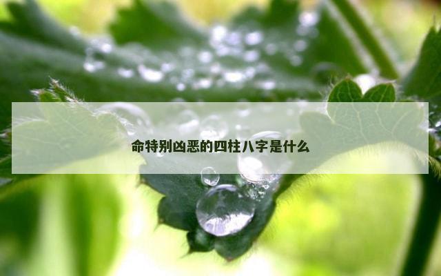 命特别凶恶的四柱八字是什么