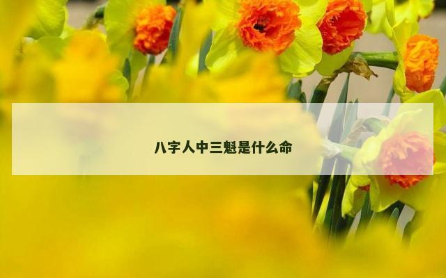 八字人中三魁是什么命