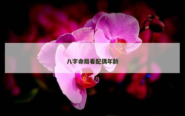 八字命局看配偶年龄