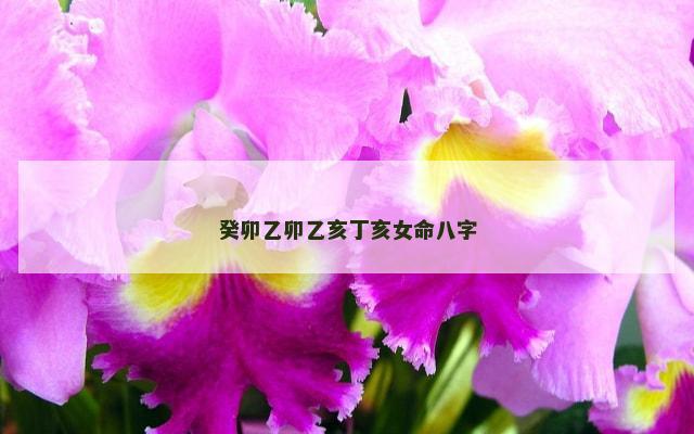 癸卯乙卯乙亥丁亥女命八字