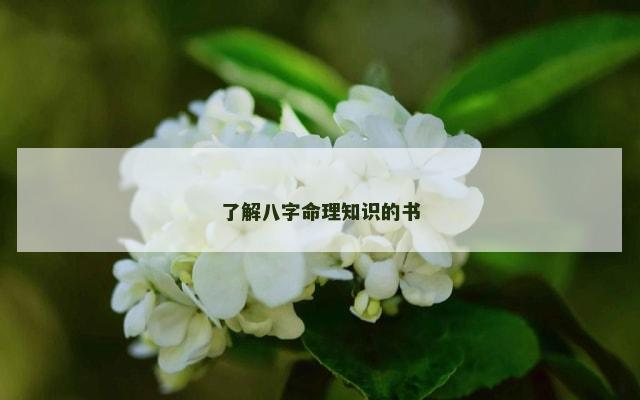 了解八字命理知识的书