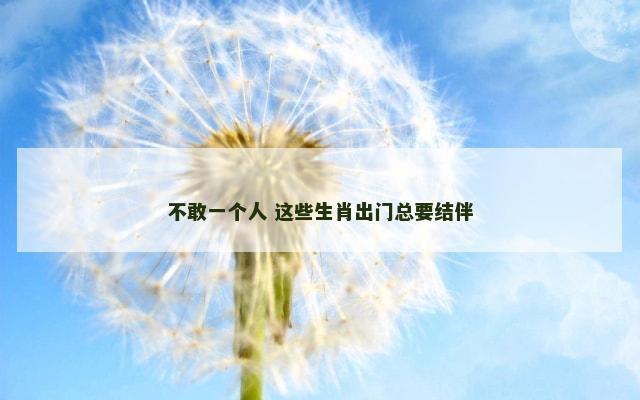 不敢一个人 这些生肖出门总要结伴