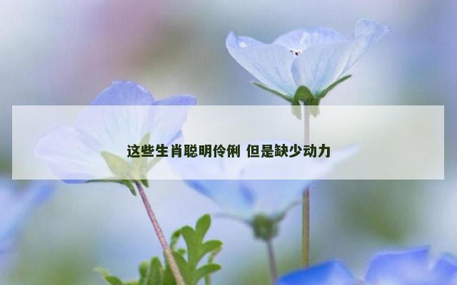 这些生肖聪明伶俐 但是缺少动力