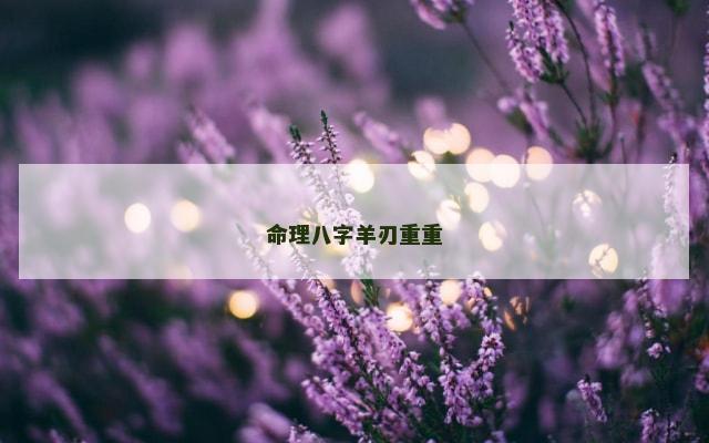 命理八字羊刃重重