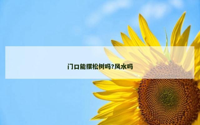 门口能摆松树吗?风水吗