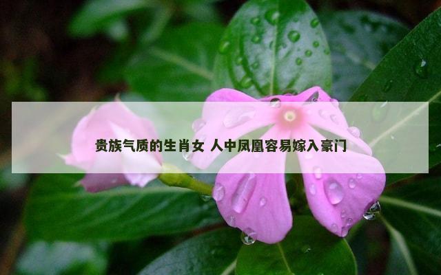 贵族气质的生肖女 人中凤凰容易嫁入豪门