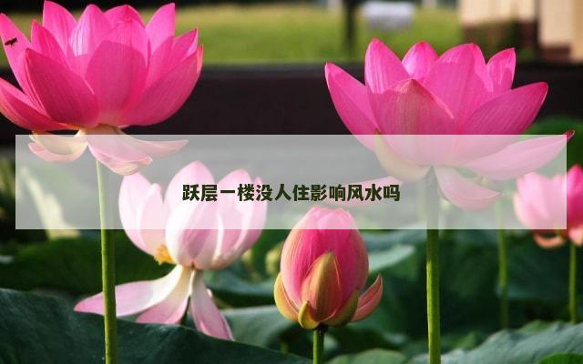 跃层一楼没人住影响风水吗