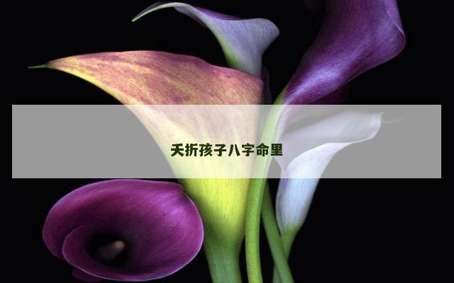夭折孩子八字命里