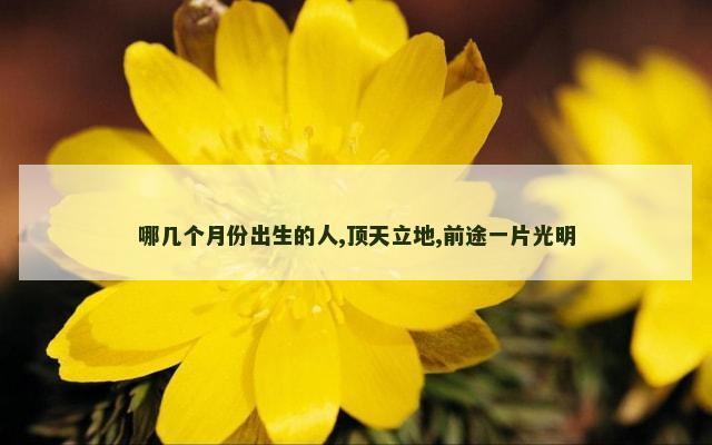 哪几个月份出生的人,顶天立地,前途一片光明