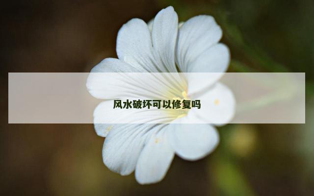 风水破坏可以修复吗